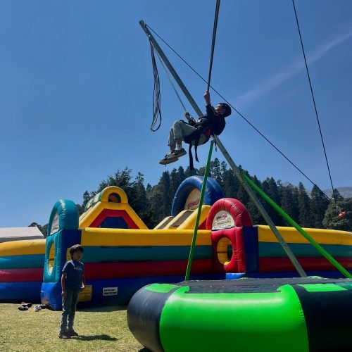 B3CEC256-9580-4B33-8234-257240418F24